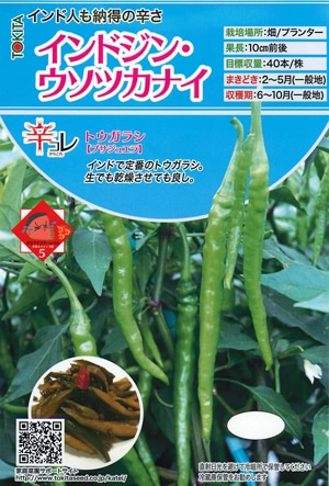 トキタ種苗　トウガラシ種子　インドジン・ウソツカナイ【取り寄せ注文】*種子有効期限2025年10月末