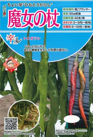トキタ種苗　トウガラシ種子　魔女の枝【取り寄せ注文】*種子有効期限2025年10月末