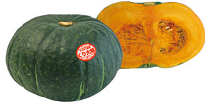 トキタ種苗 カボチャ種子 くり大将【取り寄せ注文】【2026年春種予約商品】