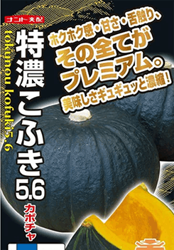 ナント種苗 カボチャ種子 特濃こふき5.6(NS-028)【取り寄せ注文】＊種子有効期限2026年8月末