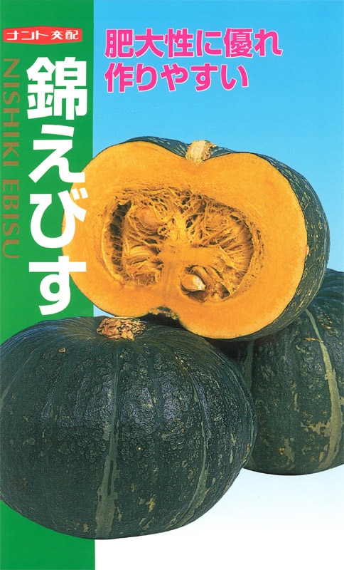 ナント種苗　カボチャ種子　錦えびす【取り寄せ注文】