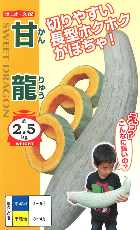 ナント種苗 カボチャ種子 甘龍【取り寄せ注文】＊種子有効期限2026年9月末 