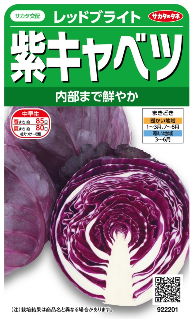 サカタのタネ キャベツ種子 レッドブライト【取り寄せ注文】※通年商品【2026年春種予約商品】