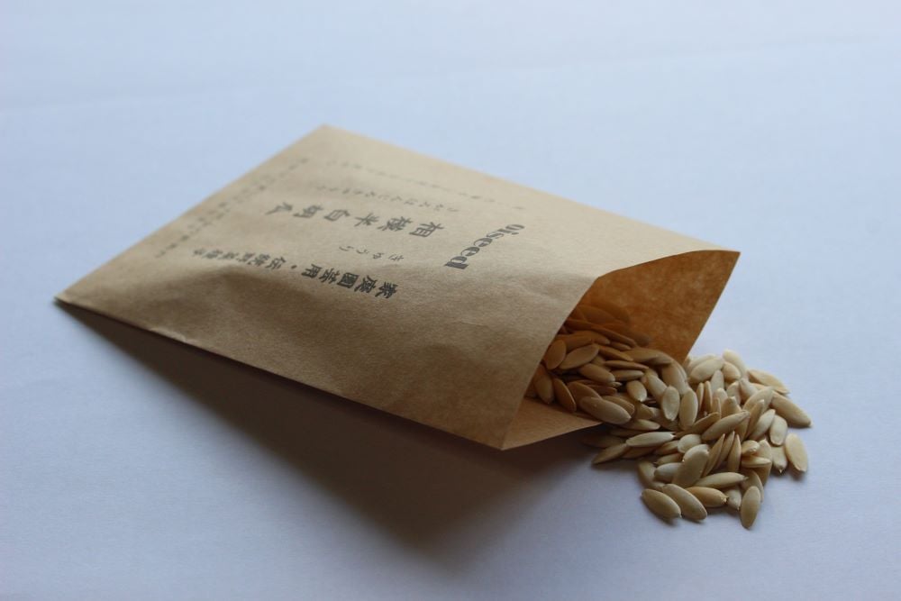 鶴頸種苗 キュウリ種子 相模半白胡瓜（小袋：1ml）【取り寄せ注文】【2026年春種予約商品】 ※お取り寄せに1週間程かかります