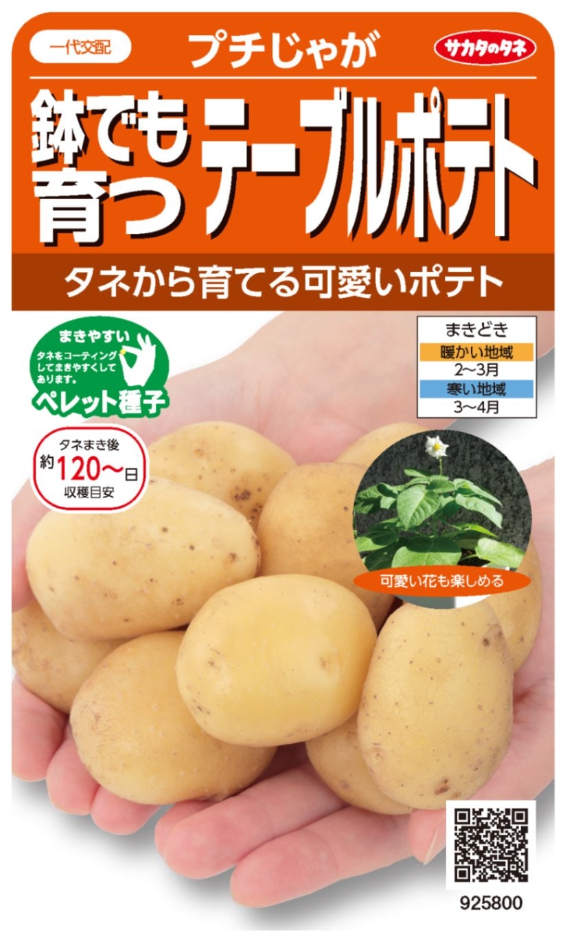 サカタのタネ　じゃがいも種子　プチじゃが【取り寄せ注文】＊種子有効期限2025年10月末
