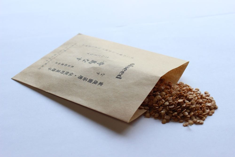 鶴頸種苗 ナス種子 寺島茄子（別名：蔓細千成なす）（小袋：20粒）【取り寄せ注文】＊種子有効期限2025年9月末 ※お取り寄せに1週間程かかります