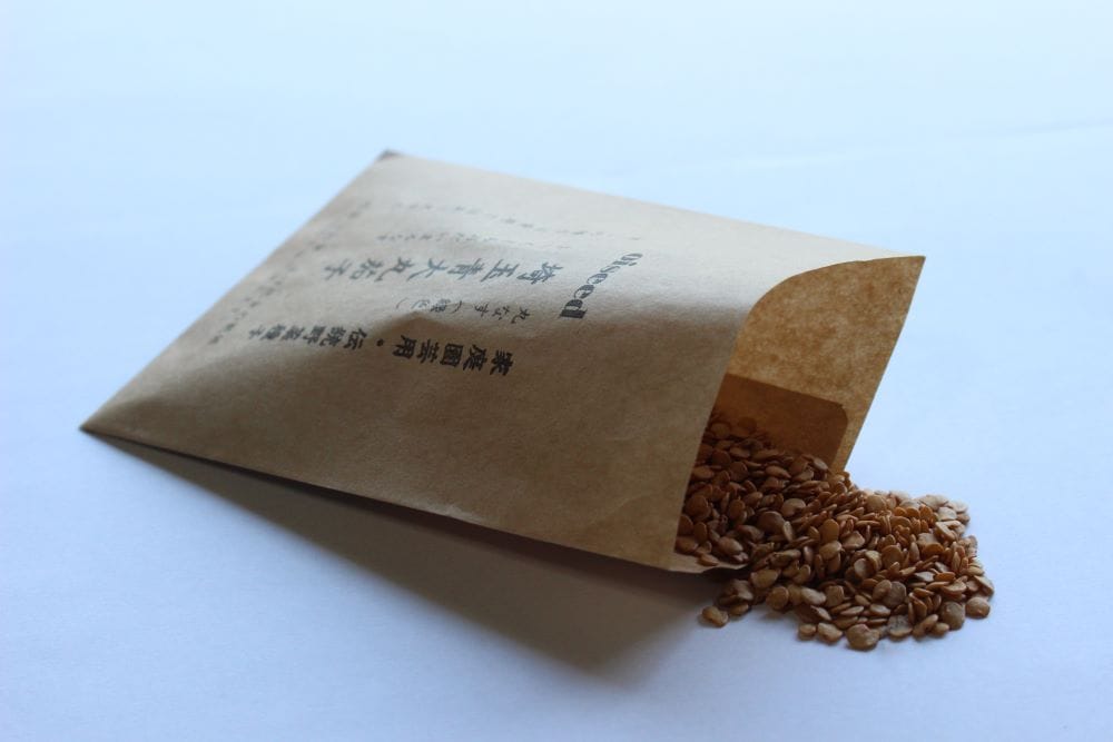 鶴頸種苗 ナス種子 埼玉青大丸茄子【取り寄せ注文】 ※お取り寄せに1週間程かかります
