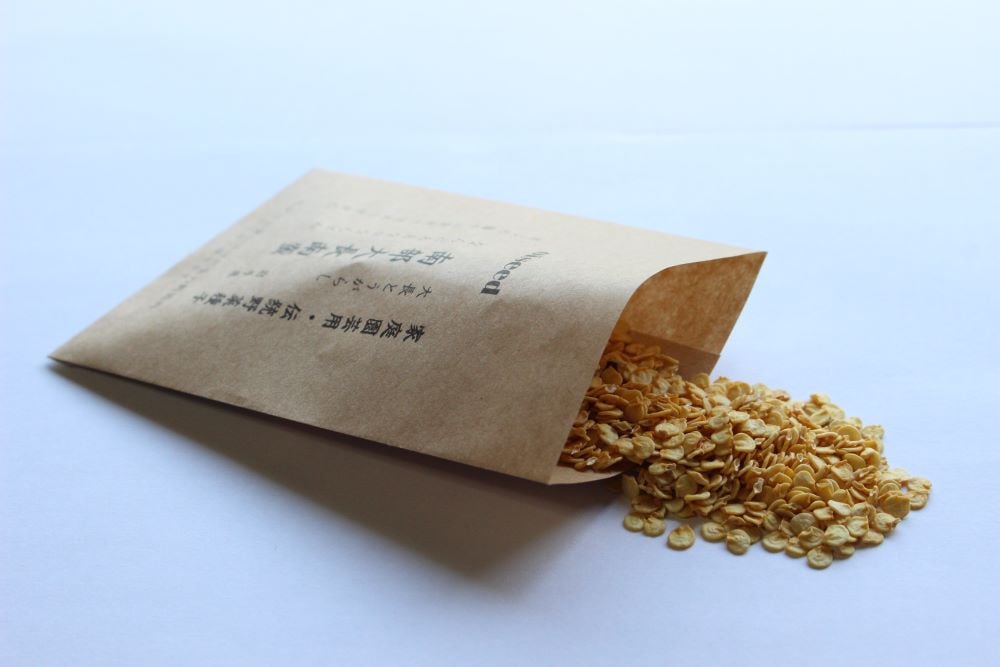鶴頸種苗 南部大長南蛮（小袋：0.5ml） 【取り寄せ注文】 ※お取り寄せに1週間程かかります