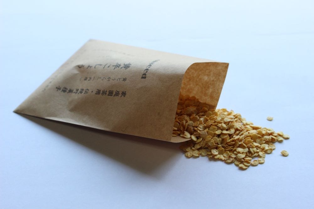 鶴頸種苗 トウガラシ種子 黄辛とうがらし（小袋：0.5ml） 【取り寄せ注文】＊種子有効期限2025年10月末 ※お取り寄せに1週間程かかります