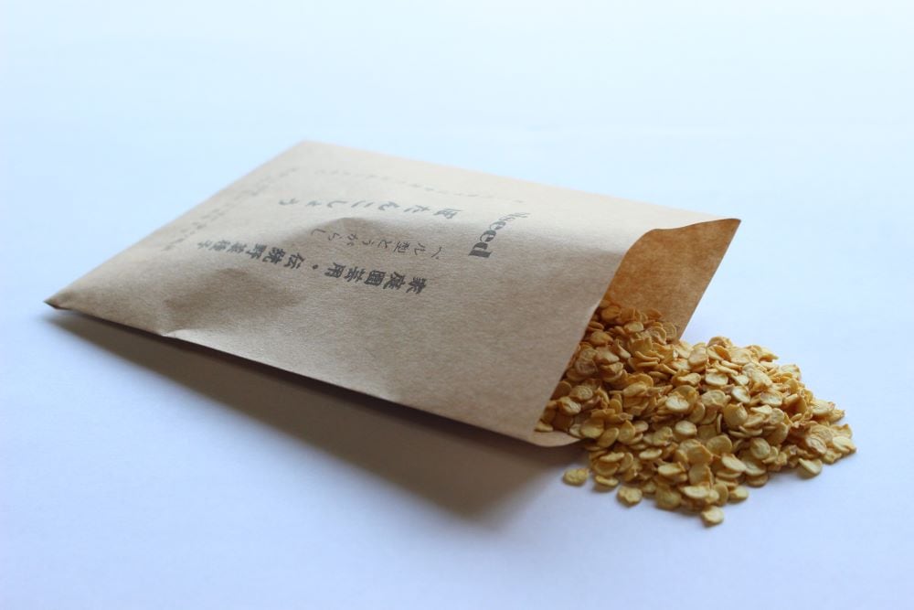 鶴頸種苗 ぼたんこしょう（小袋：0.5ml） 【取り寄せ注文】 ※お取り寄せに1週間程かかります