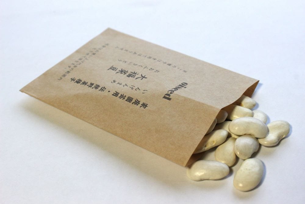 鶴頸種苗 インゲン種子 大福菜豆（小袋：20ml） 【取り寄せ注文】※春のみ※お取り寄せに1週間程かかります