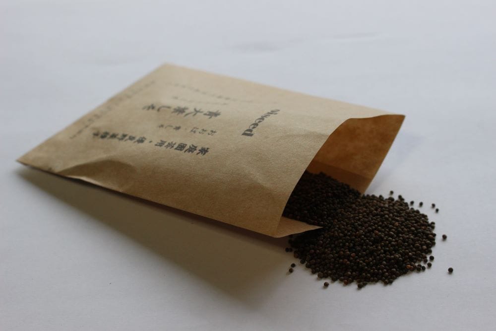 鶴頸種苗 シソ種子 青大葉しそ（小袋：4ml）【取り寄せ注文】【2026年春種予約商品】 ※お取り寄せに1週間程かかります