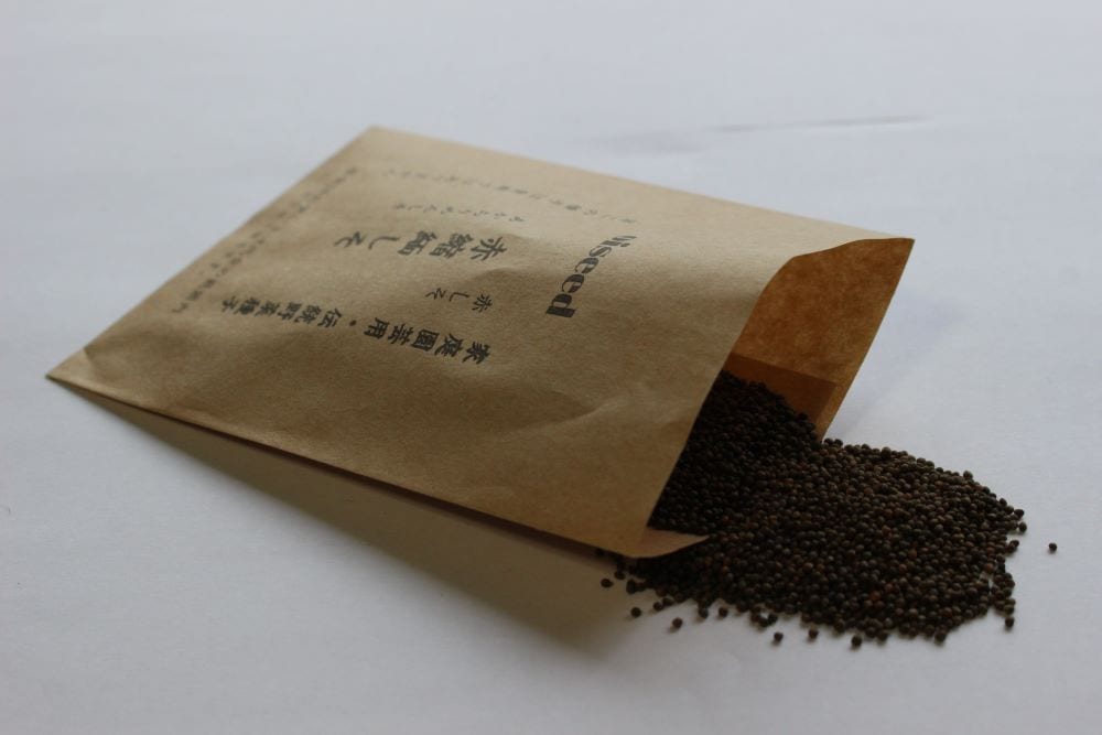 鶴頸種苗 シソ種子 赤縮緬しそ【取り寄せ注文】【2026年春種予約商品】 ※お取り寄せに1週間程かかります