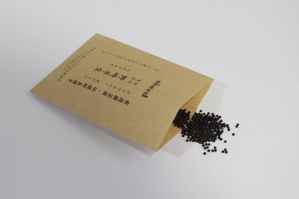 鶴頸種苗 カリフラワー種子 野崎早生（小袋：0.75ml）【取り寄せ注文】※お取り寄せに1週間程かかります