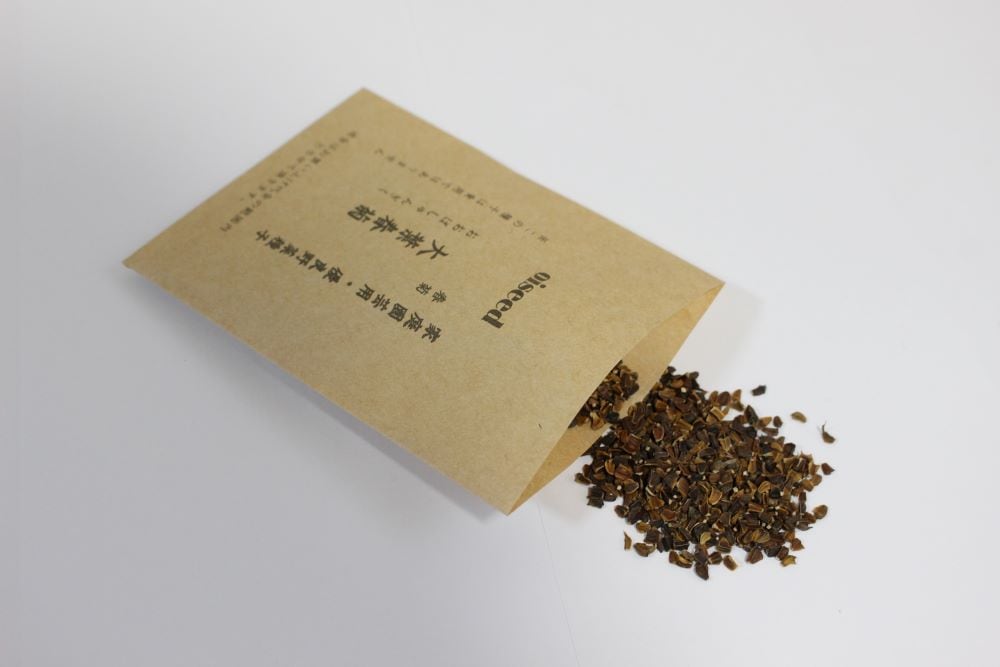 鶴頸種苗 シュンギク種子 大葉春菊（小袋：20ml）【取り寄せ注文】※お取り寄せに1週間程かかります※品切れ(25/4)
