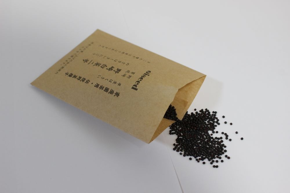 鶴頸種苗 ハクサイ種子 野崎白菜二号（小袋：5ml）【取り寄せ注文】※お取り寄せに1週間程かかります