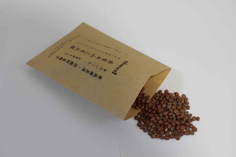 鶴頸種苗 赤首女山三月大根（小袋：4ml） 【取り寄せ注文】※お取り寄せに1週間程かかります