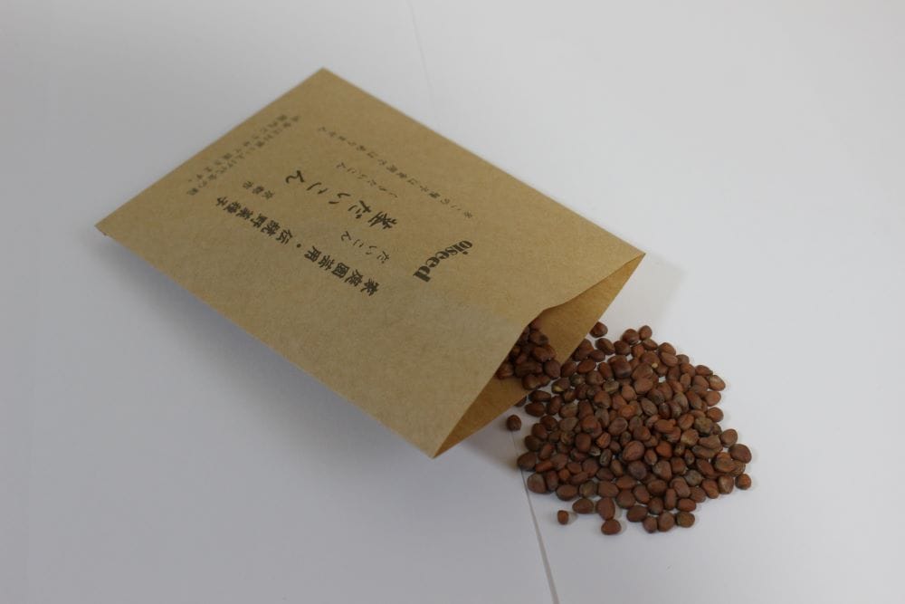 鶴頸種苗 茎だいこん（小袋：5ml） 【取り寄せ注文】※お取り寄せに1週間程かかります