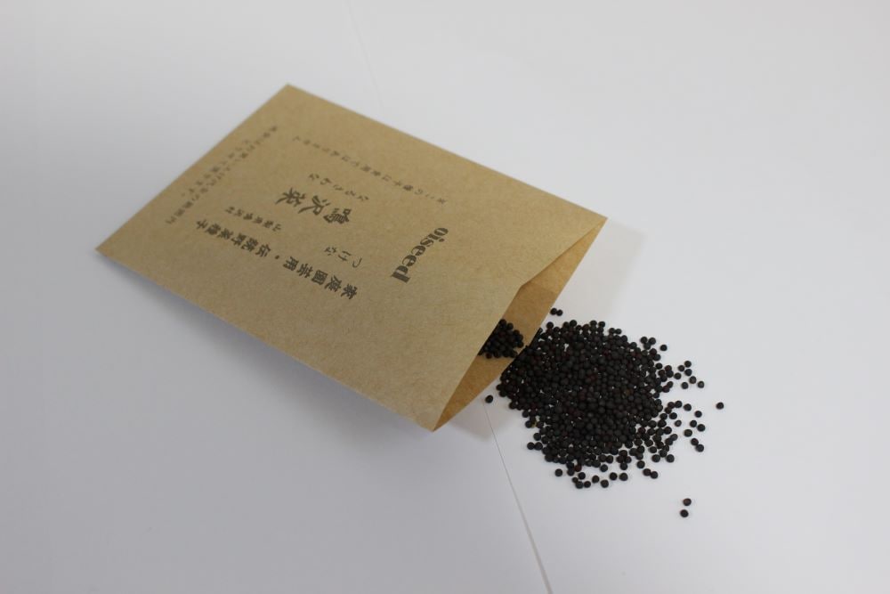 鶴頸種苗 ツケナ種子 鳴沢菜（小袋：5ml）【取り寄せ注文】※秋まき品種※お取り寄せに1週間程かかります