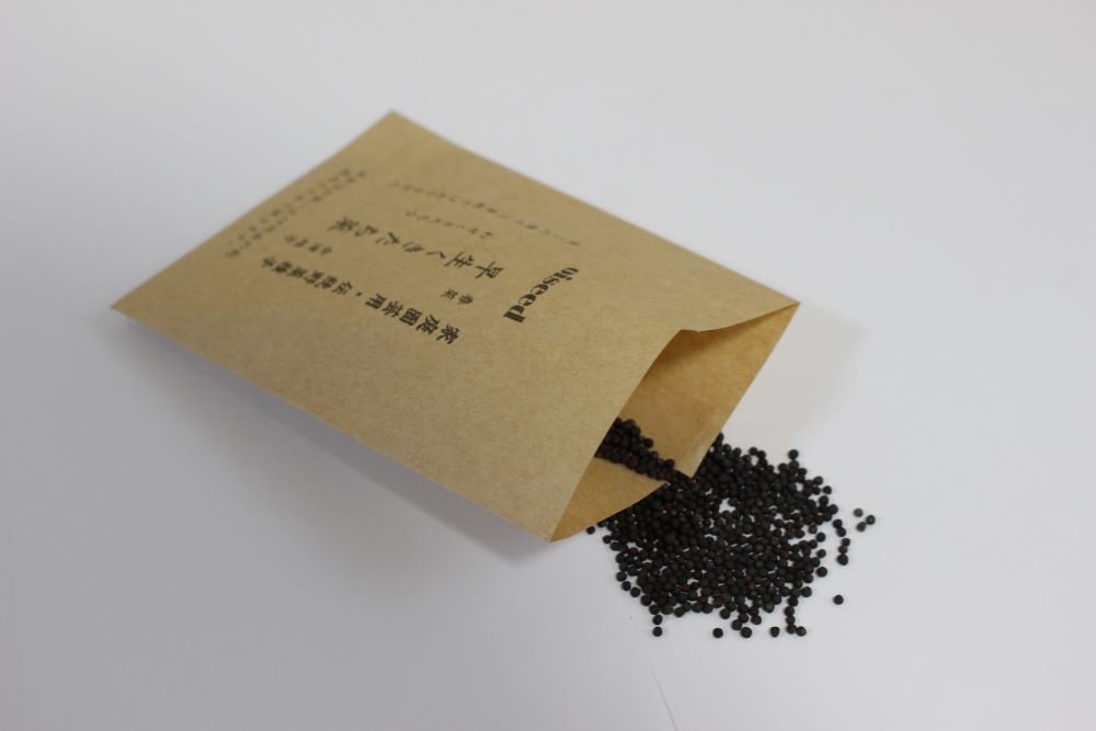 鶴頸種苗 ツケナ種子 早生くきたち菜（小袋：5ml）【取り寄せ注文】※秋まき品種※お取り寄せに1週間程かかります
