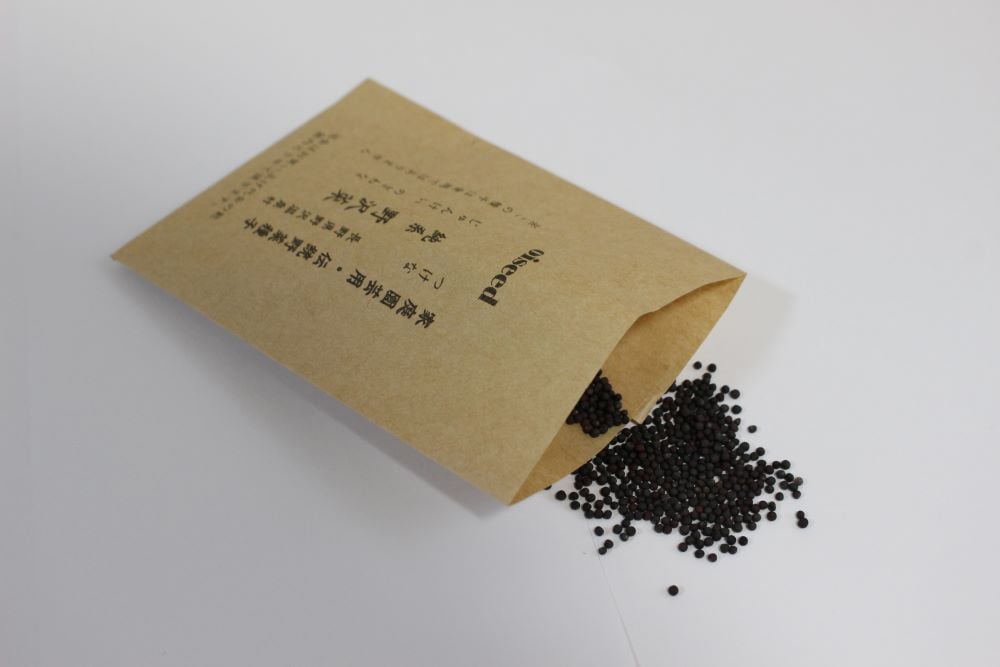 鶴頸種苗 ツケナ種子 純系野沢菜（小袋：5ml）【取り寄せ注文】※秋まき品種※お取り寄せに1週間程かかります