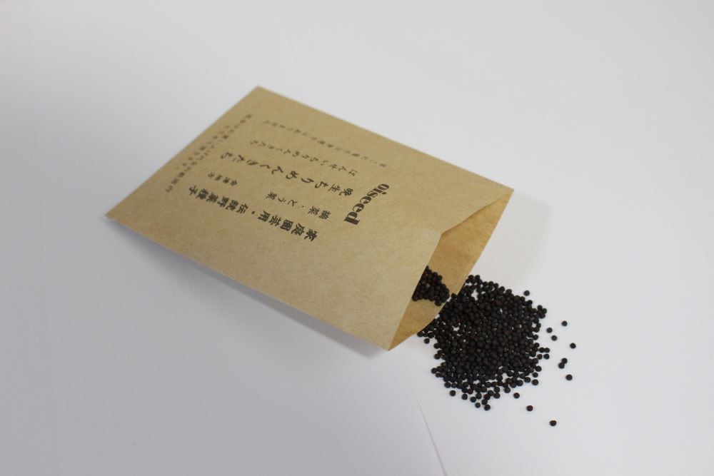 鶴頸種苗 ツケナ種子 晩生ちりめんくきたち（小袋：5ml）【取り寄せ注文】※秋まき品種※お取り寄せに1週間程かかります
