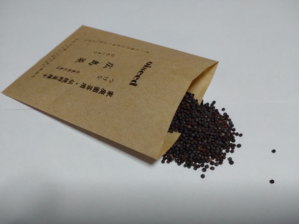 鶴頸種苗 ツケナ種子 広島菜（小袋：5ml）【取り寄せ注文】※秋まき品種※お取り寄せに1週間程かかります