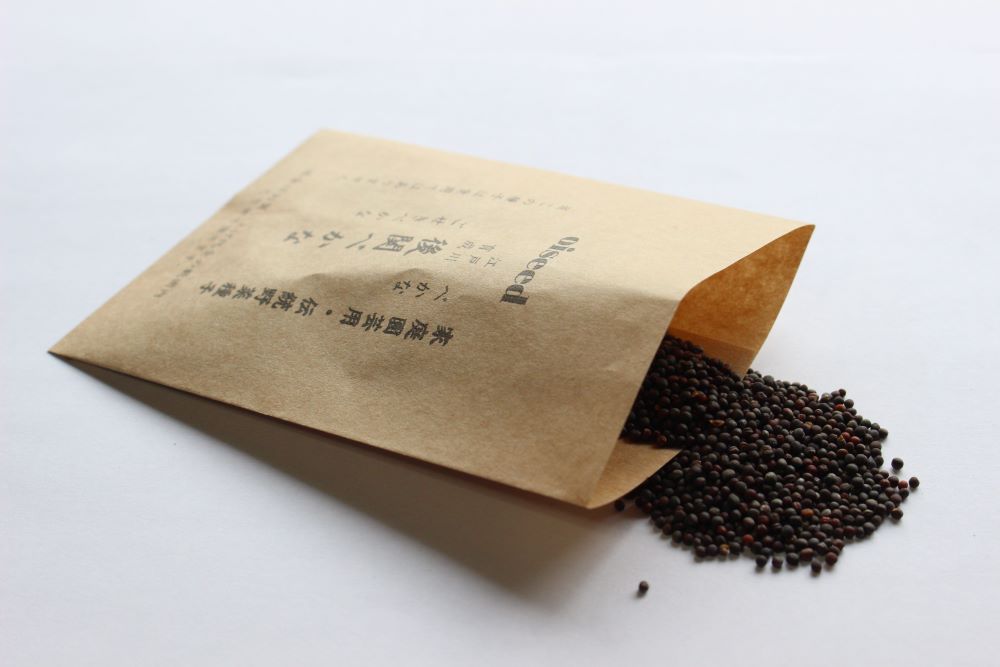 鶴頸種苗 サントウサイ種子 後関べかな(小袋:5ml)【取り寄せ注文】※お取り寄せに1週間程かかります