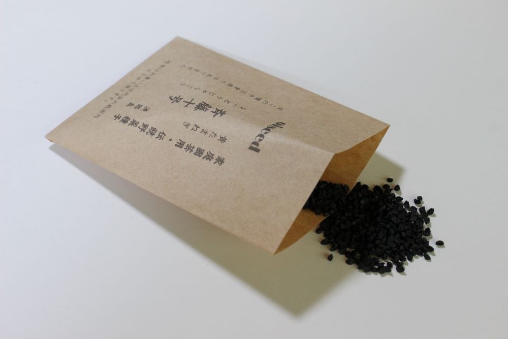 鶴頸種苗 タマネギ種子斉藤十号玉葱（小袋：3ml）【取り寄せ注文】【2026年秋種予約商品】※8月中旬～出荷予定 ※秋のみ※お取り寄せに1週間程かかります
