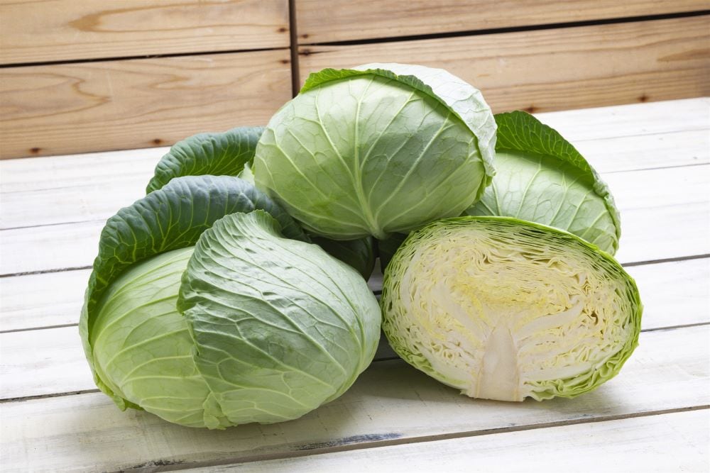 タキイ種苗 キャベツ種子 涼空（すずぞら）【取り寄せ注文】