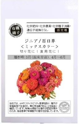 GFP[A592]ジニア 百日草 ミックスカラー 【有機種子・固定種】【2026年春種予約商品】