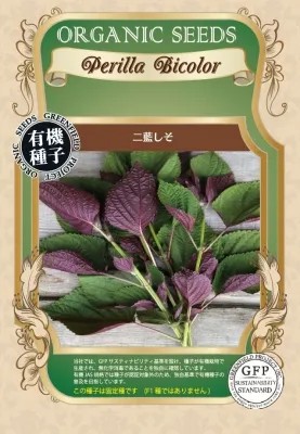 GFP[A691]二藍（ふたあい）しそ/紫蘇 シソ【有機栽培の種/固定種】【2026年春種予約商品】