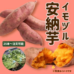 <{$recommend_item.list[i].name}>