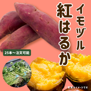 <{$recommend_item.list[i].name}>