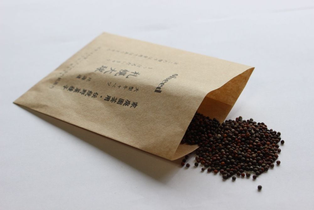 鶴頸種苗 キャベツ種子 札幌大球4号 (小袋:0.5ml)【取り寄せ注文】 ※お取り寄せに1週間程かかります
