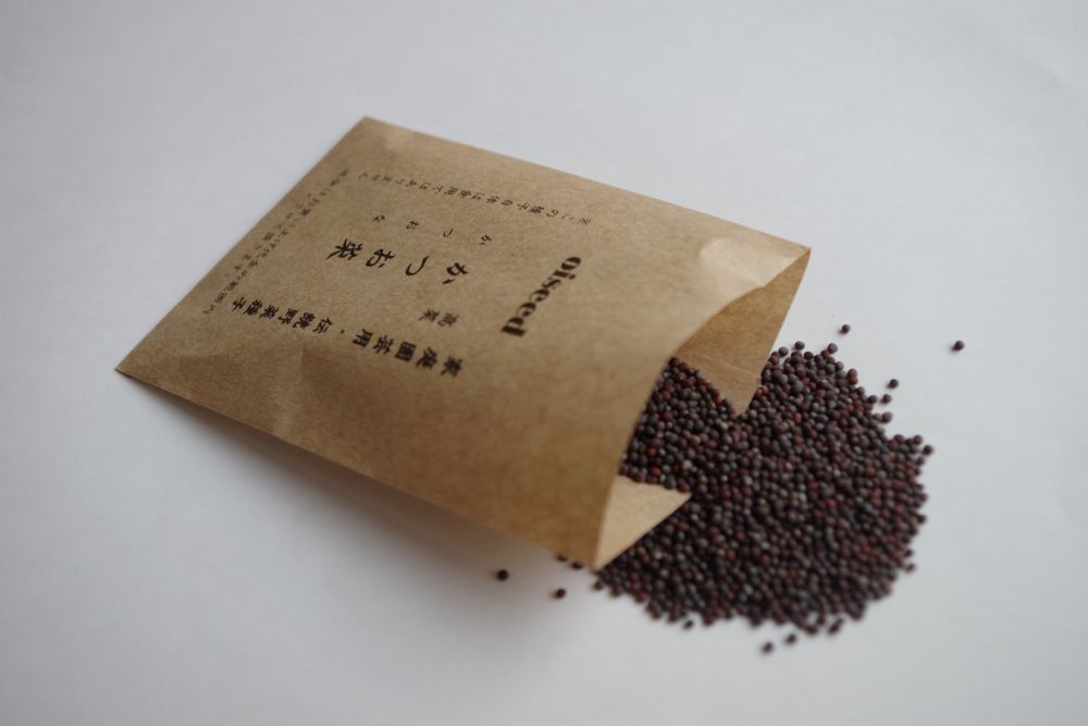 鶴頸種苗 ツケナ種子 かつお菜（小袋：5ml）【取り寄せ注文】 ※お取り寄せに1週間程かかります ※7月以降～入荷予定
