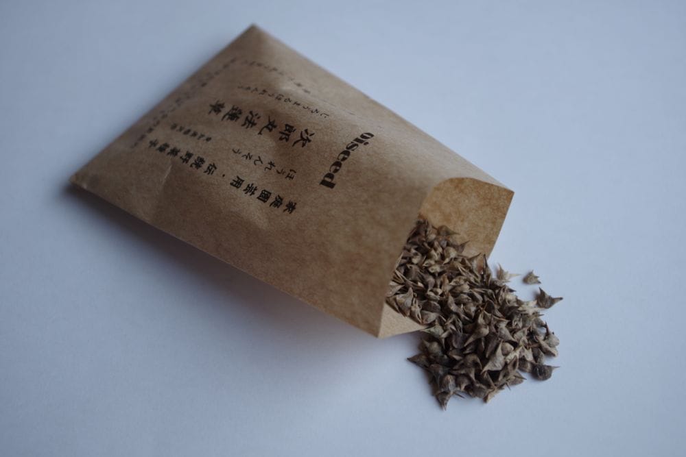 鶴頸種苗 ホウレンソウ種子 次郎丸法蓮草（小袋：20ml）【取り寄せ注文】※お取り寄せに1週間程かかります