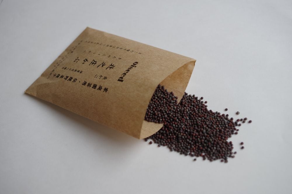 鶴頸種苗  カブ種子 北之庄かぶ(小袋：2ml)【取り寄せ注文】 ※お取り寄せに1週間程かかります＊種子有効期限2026年5月末