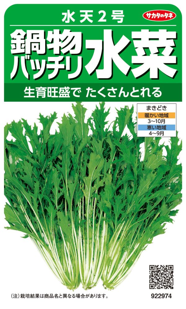 サカタのタネ ミズナ種子 水天２号 実咲小袋[922974]【取り寄せ注文】※通年商品