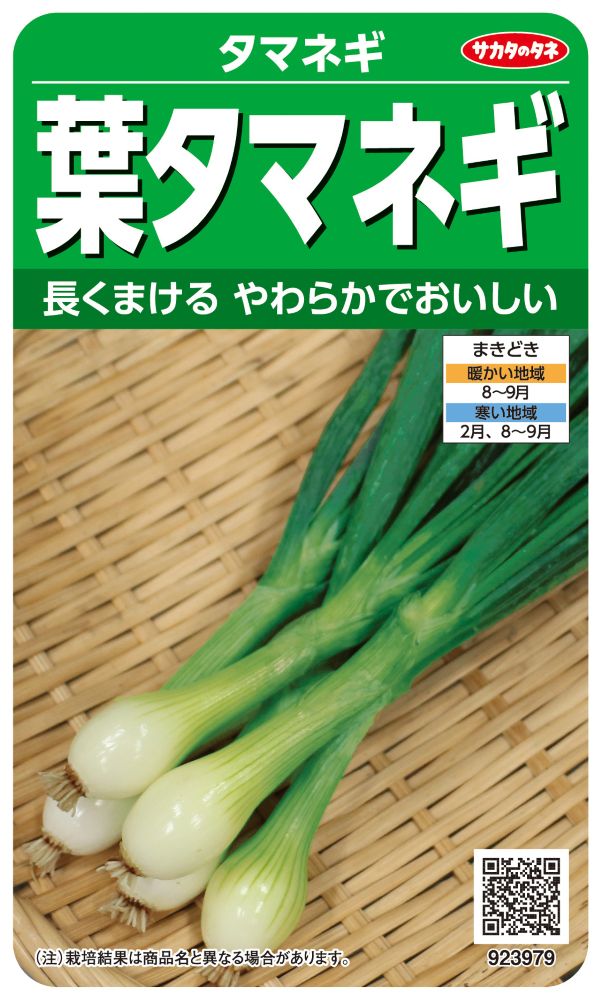 サカタのタネ タマネギ種子 葉たまねぎ 実咲小袋[923979]【取り寄せ注文】【2026年秋種予約商品】＊秋のみ商品