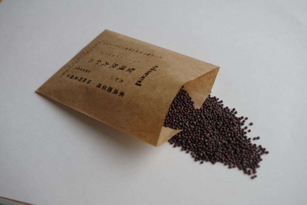 鶴頸種苗  カブ種子 聖護院大かぶ(小袋：5ml)【取り寄せ注文】 ※お取り寄せに1週間程かかります＊種子有効期限2026年5月末