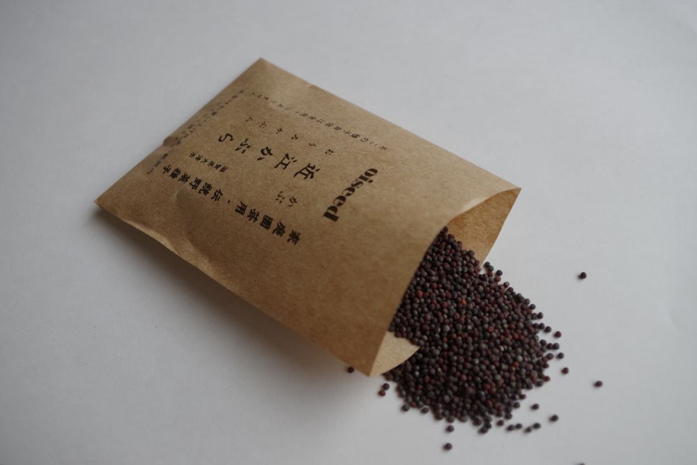 鶴頸種苗  カブ種子 近江かぶら(小袋：2ml)【取り寄せ注文】 ※お取り寄せに1週間程かかります＊種子有効期限2026年5月末