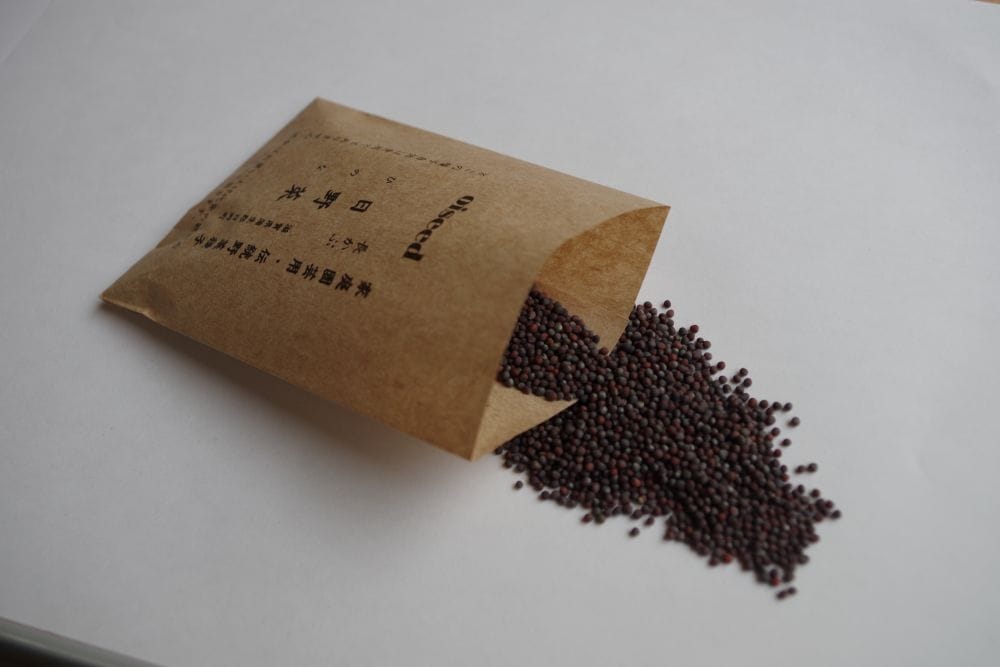 鶴頸種苗  カブ種子 日野菜かぶ(小袋：5ml)【取り寄せ注文】 ※お取り寄せに1週間程かかります＊種子有効期限2026年5月末