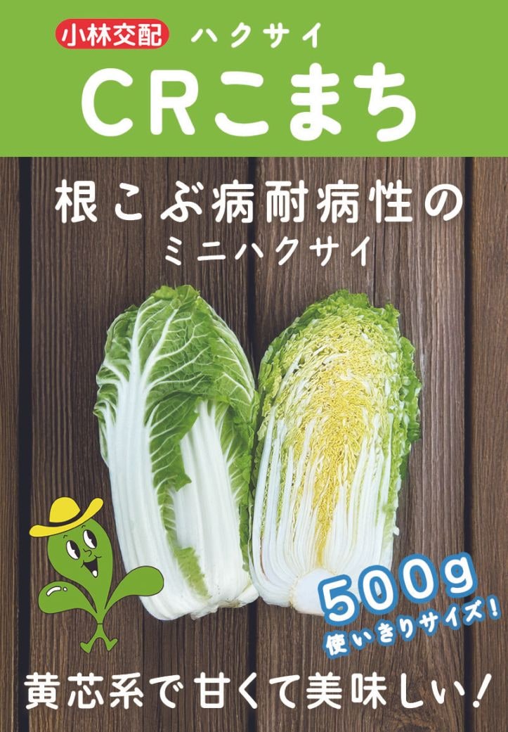 小林種苗 ハクサイ種子 CRこまち＊種子有効期限2027年5月末 