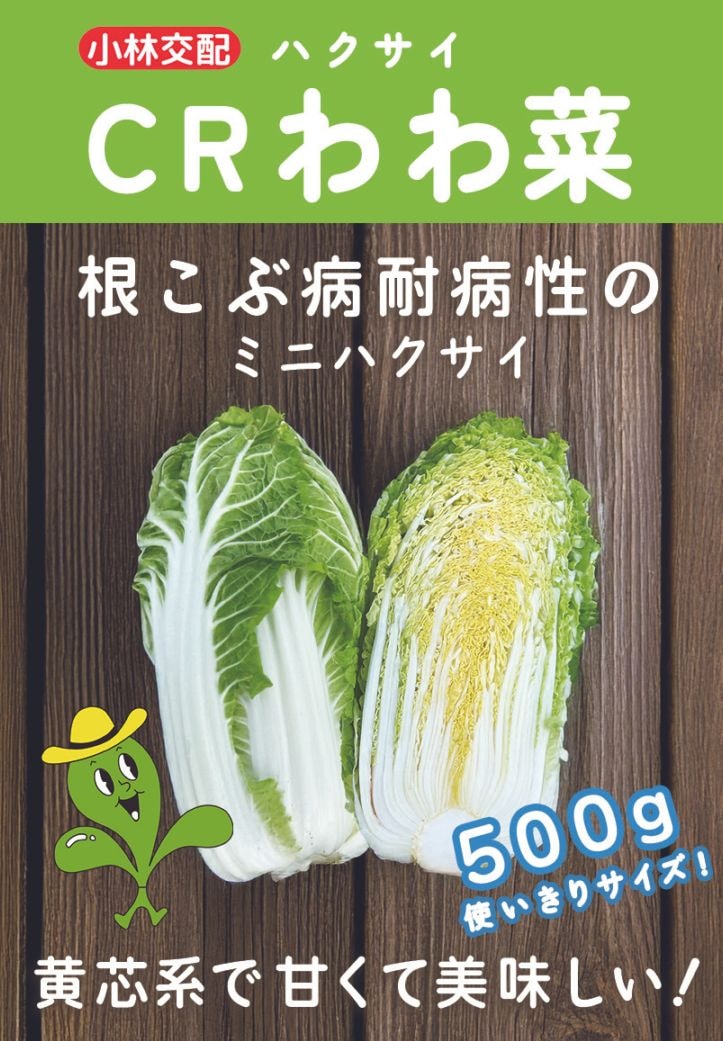 小林種苗 ハクサイ種子 CRわわ菜