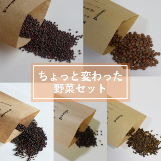 鶴頸種苗 セット商品 ちょっと変わった野菜セット(5品種)【取り寄せ注文】※お取り寄せに1週間程かかります