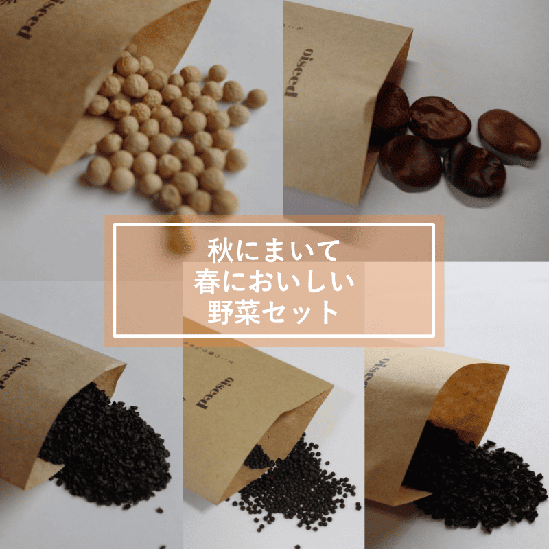 鶴頸種苗 セット商品 秋にまいて春においしい野菜セット(5品種)【取り寄せ注文】※お取り寄せに1週間程かかります