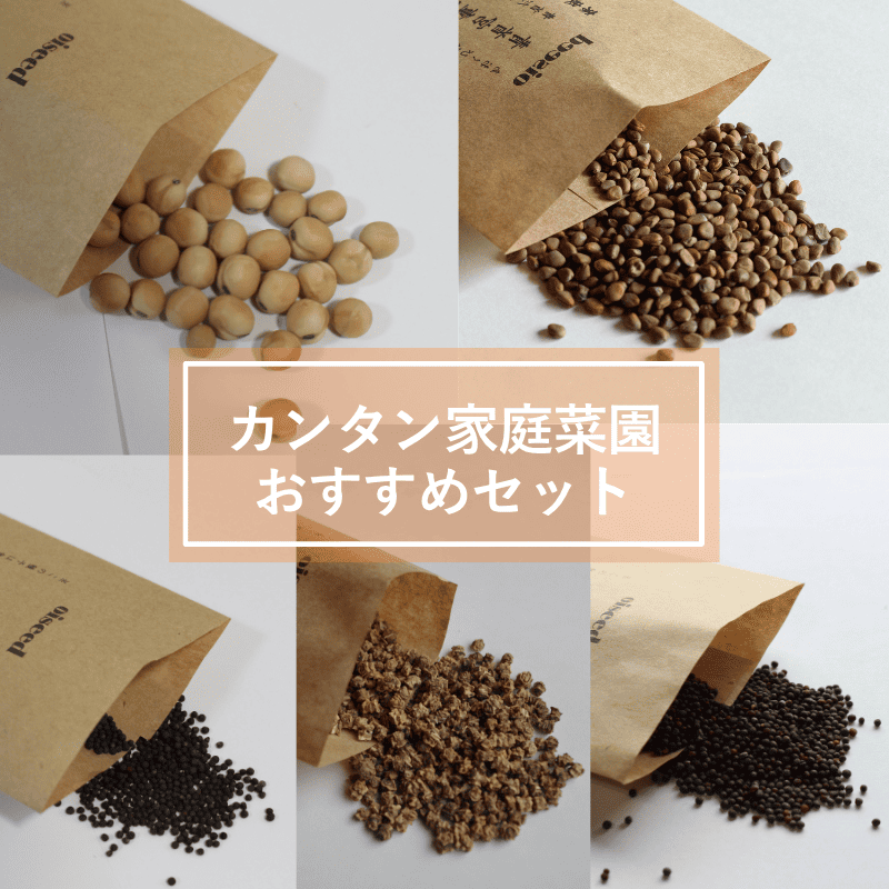 鶴頸種苗 セット商品 カンタン家庭菜園おすすめセット(5品種)【取り寄せ注文】※お取り寄せに1週間程かかります