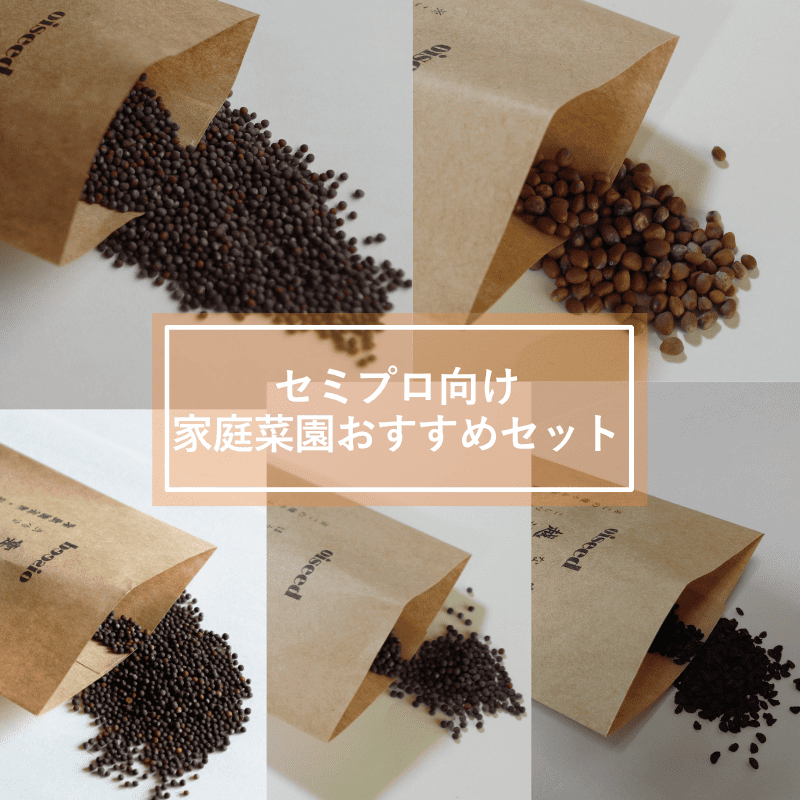 鶴頸種苗 セット商品 セミプロ向け家庭菜園おすすめセット(5品種)【取り寄せ注文】※お取り寄せに1週間程かかります