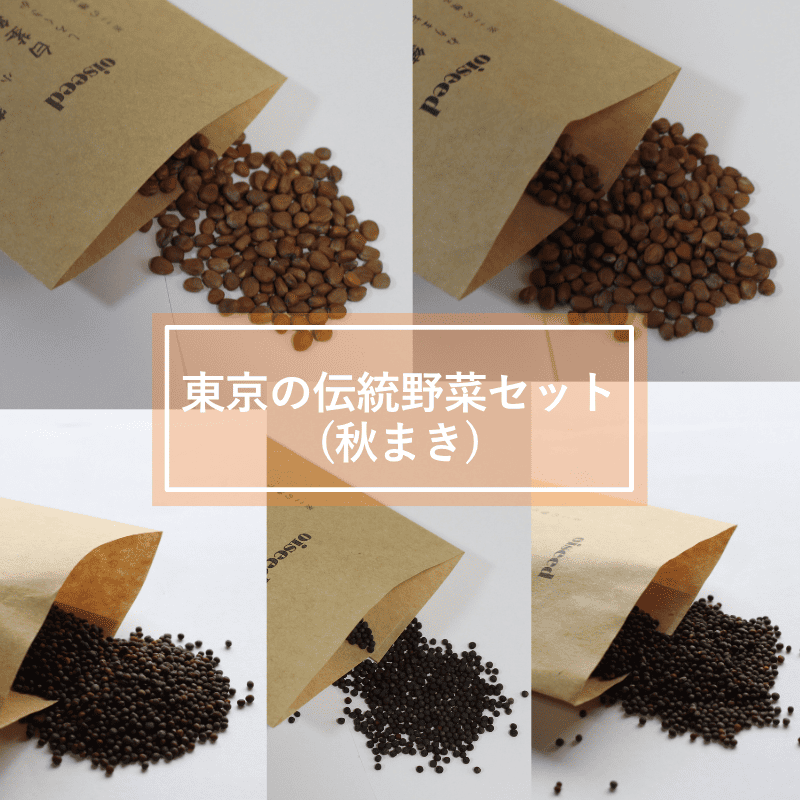 鶴頸種苗 セット商品 東京の伝統野菜セット(秋まき)(5品種)【取り寄せ注文】※お取り寄せに1週間程かかります